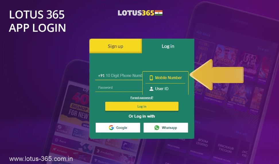 Exploring Lotus365's User Experience Design